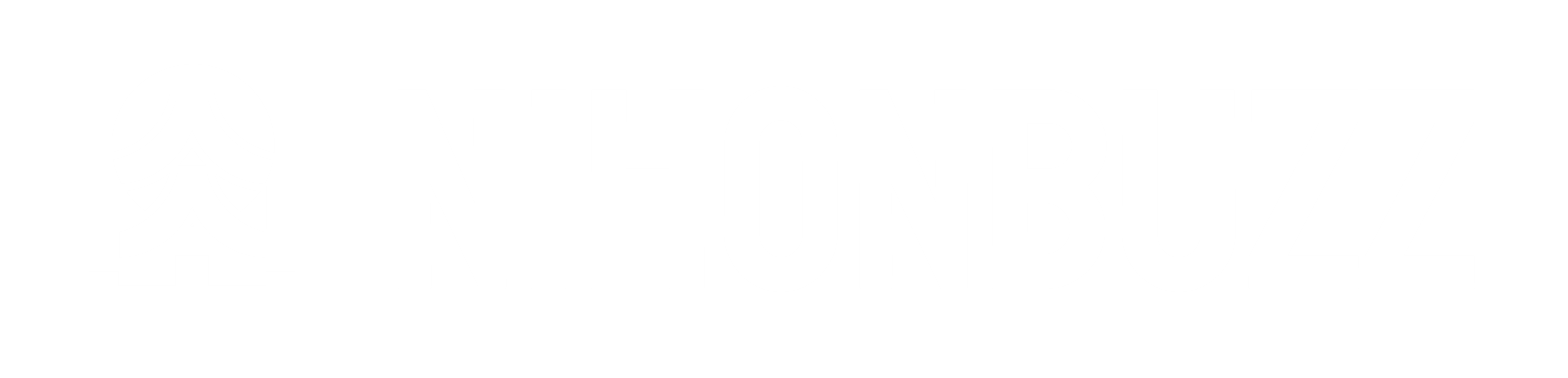 NihonBuzz Logo Landscape White